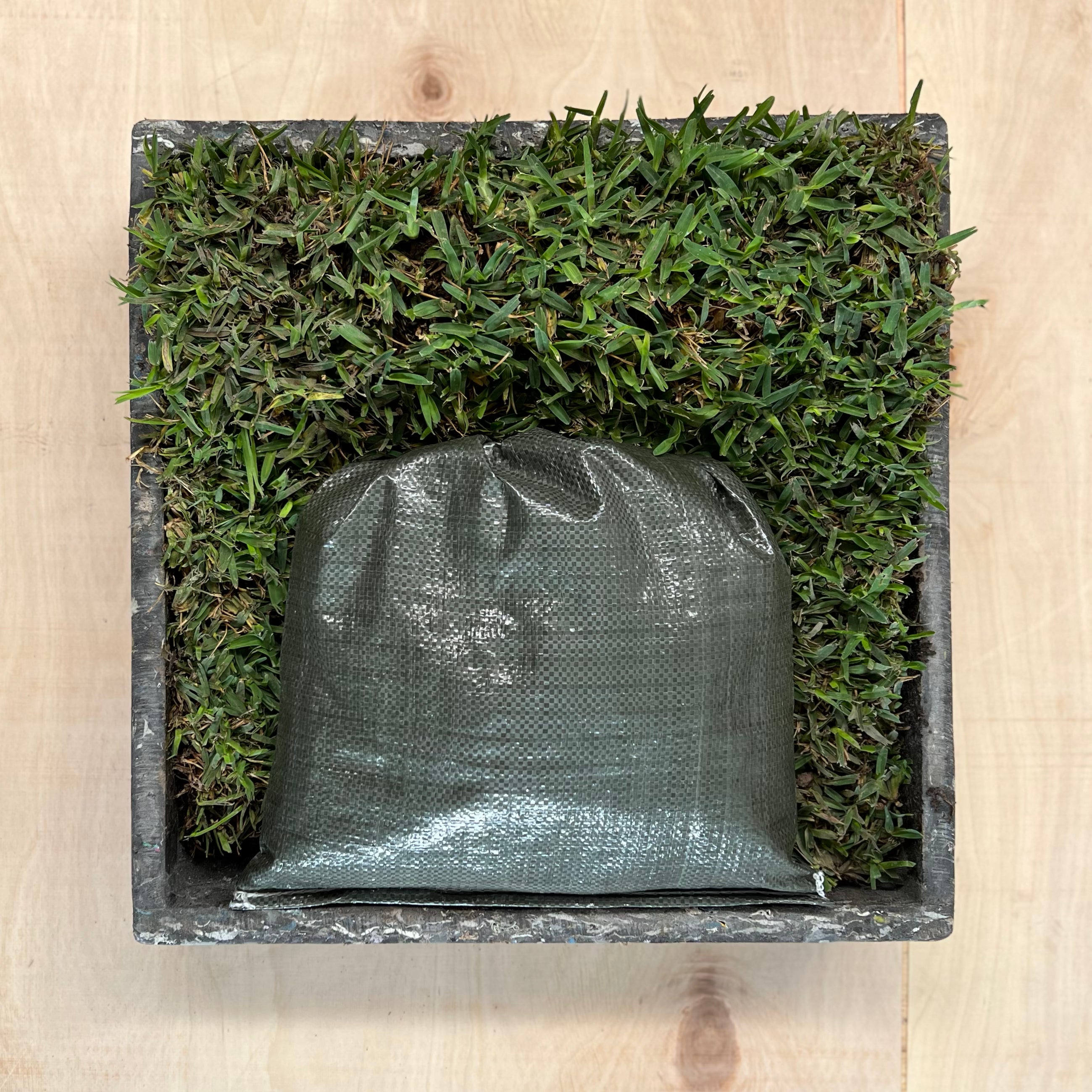 Repuesto/Mantenimiento Chico